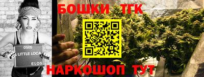 гидропоника Можайск